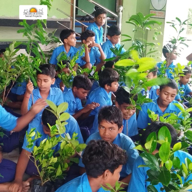 685-saplings-lesson-gratitude